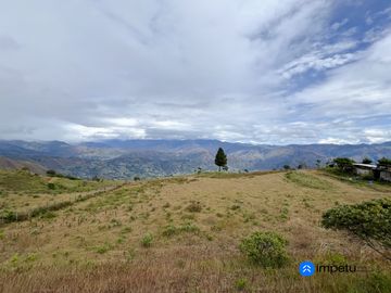 En venta terreno plano en Malacatos-Loja