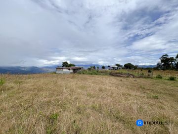 En venta terreno plano en Malacatos-Loja