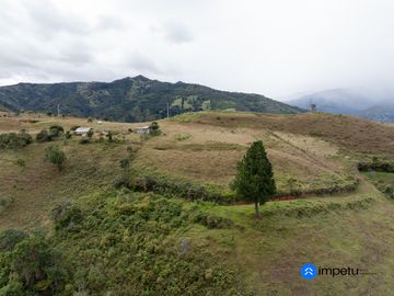 En venta terreno plano en Malacatos-Loja