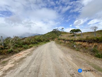 En venta terreno plano en Malacatos-Loja