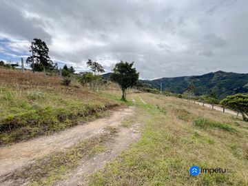 En venta terreno plano en Malacatos-Loja