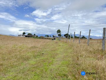 En venta terreno plano en Malacatos-Loja