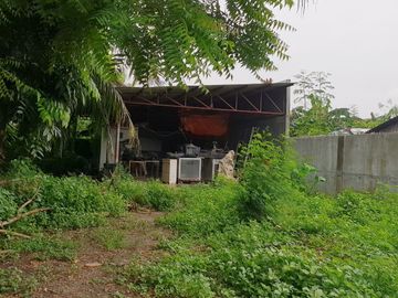Palico Daanan, Mambog, Bacoor Cavite