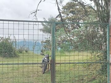 Venta Hacienda Ganadera Gualéa - Pacto en San Luis Alto Vía Calacalí 205 Hectáreas $1'100.000