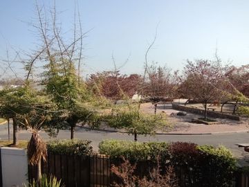 Hermosa casa con gran terreno en Altos del Parque, Peñalolén