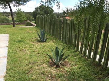 BONITO RANCHO AGRICOLA EN DOL. HGO CON CASA, CABALLERIZAS, POZO, DE OPORTUNIDAD