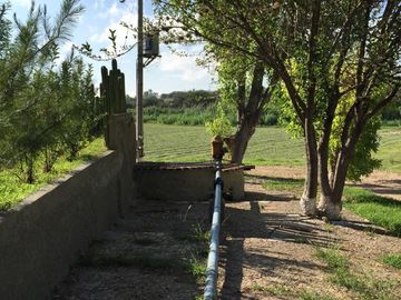 BONITO RANCHO AGRICOLA EN DOL. HGO CON CASA, CABALLERIZAS, POZO, DE OPORTUNIDAD