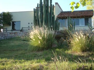 BONITO RANCHO AGRICOLA EN DOL. HGO CON CASA, CABALLERIZAS, POZO, DE OPORTUNIDAD