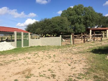 BONITO RANCHO AGRICOLA EN DOL. HGO CON CASA, CABALLERIZAS, POZO, DE OPORTUNIDAD