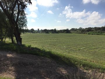 BONITO RANCHO AGRICOLA EN DOL. HGO CON CASA, CABALLERIZAS, POZO, DE OPORTUNIDAD