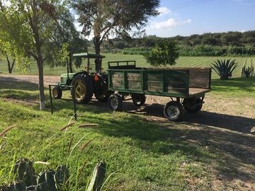BONITO RANCHO AGRICOLA EN DOL. HGO CON CASA, CABALLERIZAS, POZO, DE OPORTUNIDAD