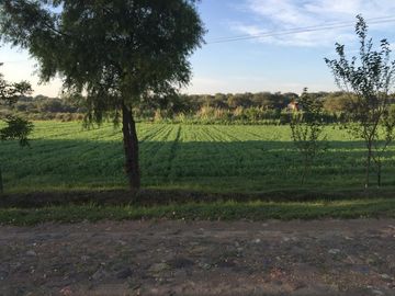BONITO RANCHO AGRICOLA EN DOL. HGO CON CASA, CABALLERIZAS, POZO, DE OPORTUNIDAD