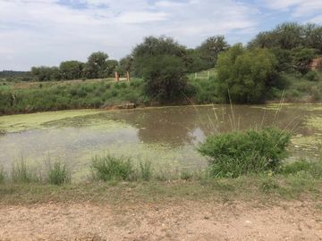 BONITO RANCHO AGRICOLA EN DOL. HGO CON CASA, CABALLERIZAS, POZO, DE OPORTUNIDAD