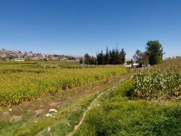 EN VENTA LINDO TERRENO AGRÍCOLA EN PAUCARPATA CON ZONIFICACIÓN ZR