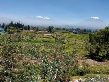 EN VENTA LINDO TERRENO AGRÍCOLA EN PAUCARPATA CON ZONIFICACIÓN ZR