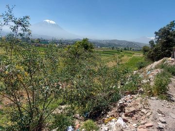 EN VENTA LINDO TERRENO AGRÍCOLA EN PAUCARPATA CON ZONIFICACIÓN ZR