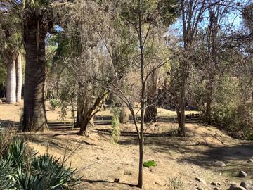 VENDO PARCELA URBANIZADA EN SECTOR RESERVA OASIS LA CAMPANA