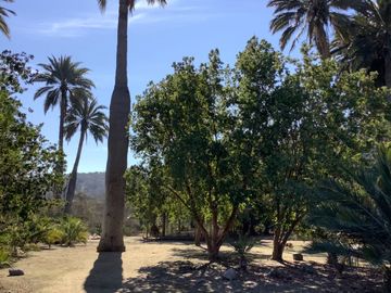 VENDO PARCELA URBANIZADA EN SECTOR RESERVA OASIS LA CAMPANA