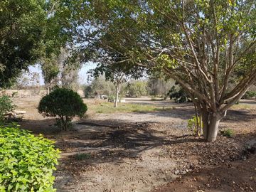 VENDO TERRENO URBANO EN LARAN CHINCHA