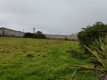 Terreno de Venta 2.000 M2, Alangasi, La Merced