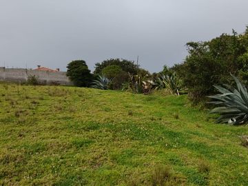 Terreno de Venta 2.000 M2, Alangasi, La Merced