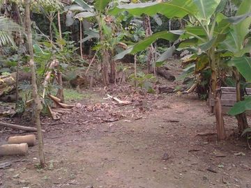 VENDO DE TERRENO EN IQUITOS- $1300/ha