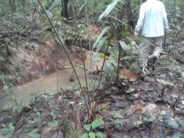 VENDO DE TERRENO EN IQUITOS- $1300/ha