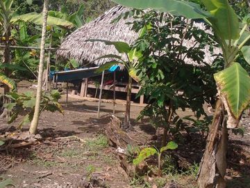 VENDO DE TERRENO EN IQUITOS- $1300/ha