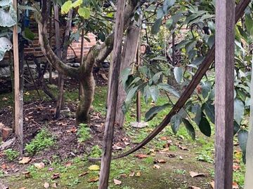 Villa en venta con 428m2T Calle Los Álamos y Av. Ordóñez Lasso