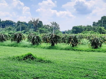 4-Hectare Beautiful Tuscan Resort Farm and Vacation Home with Swimming Pool For Sale in Tanauan, Batangas