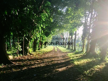 4-Hectare Beautiful Tuscan Resort Farm and Vacation Home with Swimming Pool For Sale in Tanauan, Batangas
