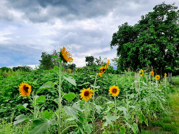 4-Hectare Beautiful Tuscan Resort Farm and Vacation Home with Swimming Pool For Sale in Tanauan, Batangas