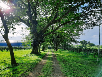 4-Hectare Beautiful Tuscan Resort Farm and Vacation Home with Swimming Pool For Sale in Tanauan, Batangas