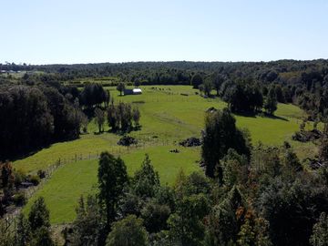 Campo con casa en venta en Fresia de 19,43 hectáreas - Región de Los Lagos