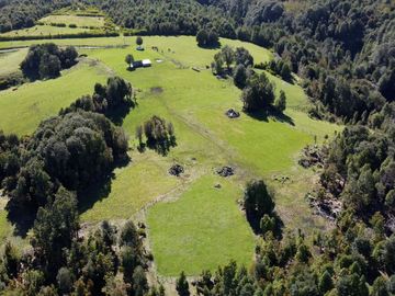 Campo con casa en venta en Fresia de 19,43 hectáreas - Región de Los Lagos