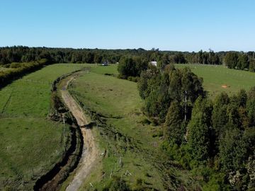 Campo con casa en venta en Fresia de 19,43 hectáreas - Región de Los Lagos