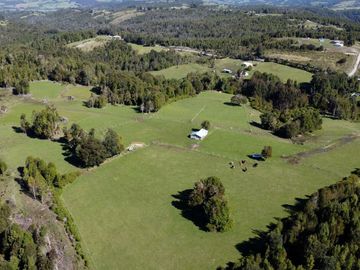 Campo con casa en venta en Fresia de 19,43 hectáreas - Región de Los Lagos