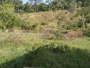 VENDO FINCA DE TRABAJO EN AMALFI ANTIOQUIA.
