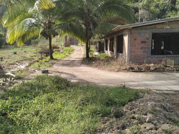 VENDO FINCA DE TRABAJO EN AMALFI ANTIOQUIA.