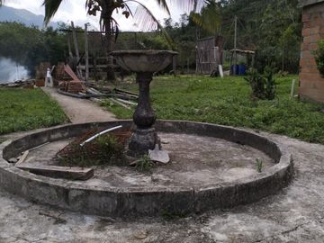 VENDO FINCA DE TRABAJO EN AMALFI ANTIOQUIA.