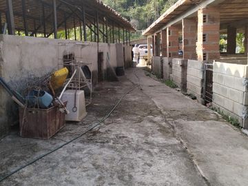 VENDO FINCA DE TRABAJO EN AMALFI ANTIOQUIA.