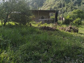 VENDO FINCA DE TRABAJO EN AMALFI ANTIOQUIA.
