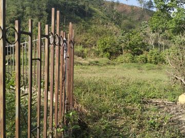 VENDO FINCA DE TRABAJO EN AMALFI ANTIOQUIA.