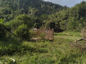 VENDO FINCA DE TRABAJO EN AMALFI ANTIOQUIA.
