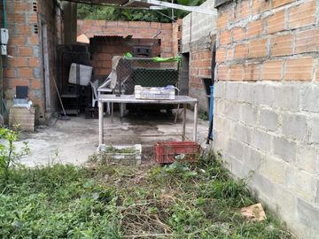 VENDO FINCA DE TRABAJO EN AMALFI ANTIOQUIA.
