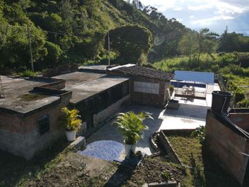 VENDO FINCA DE TRABAJO EN AMALFI ANTIOQUIA.