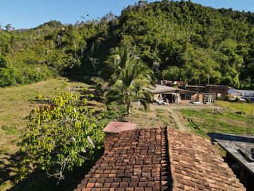 VENDO FINCA DE TRABAJO EN AMALFI ANTIOQUIA.