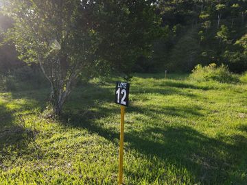 VENDO FINCA DE TRABAJO EN AMALFI ANTIOQUIA.