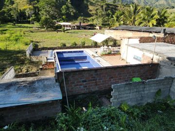 VENDO FINCA DE TRABAJO EN AMALFI ANTIOQUIA.