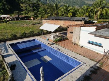 VENDO FINCA DE TRABAJO EN AMALFI ANTIOQUIA.